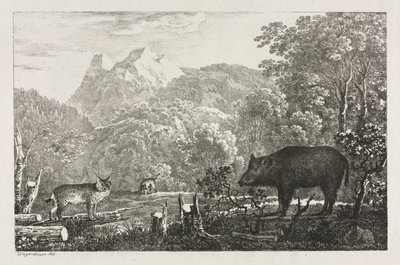 Divoké prase, kočka divoká a rys, 1807. od Maximilian Josef Wagenbauer