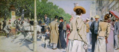 Sirk koutek od Maximilian Lenz
