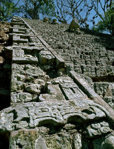 Pohled na hieroglyfické schodiště, 743 našeho letopočtu od Mayan