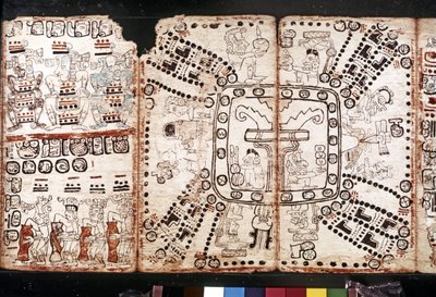 MAYA CIVILIZATION: Codex Tro-Cortesiano, polovina 15. století (kůra-rostlinná vlákna) od Mayan Mayan