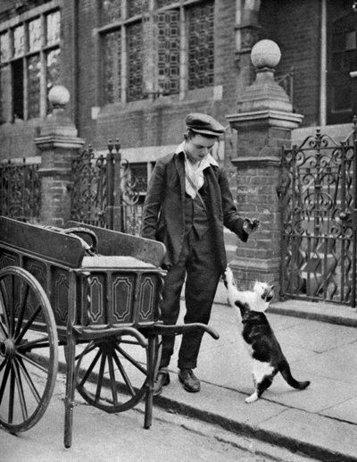 Cats meat man, Londýn, 1926-1927 od McLeish