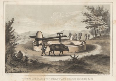 Čínské zařízení pro loupání a hrubé mletí rýže, 1855 od Meffert