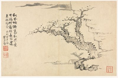 Krajiny v různých stylech po starých mistrech, 1690. od Mei Qing