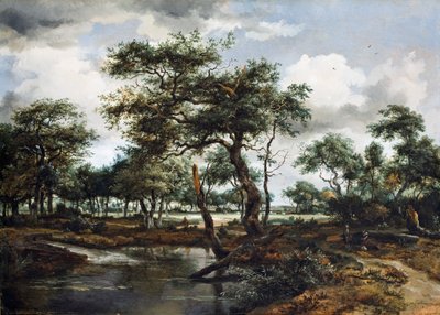Rybník v lese, 1668 (olej na dubovém panelu) od Meindert Hobbema