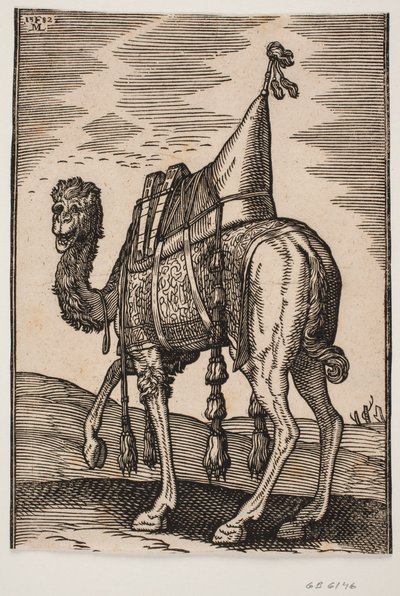 Osedlý velbloud od Melchior Lorck