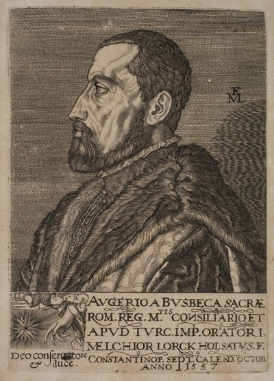 Portrét Ogiera Ghiselina de Busbecqa, císařského vyslance. od Melchior Lorck
