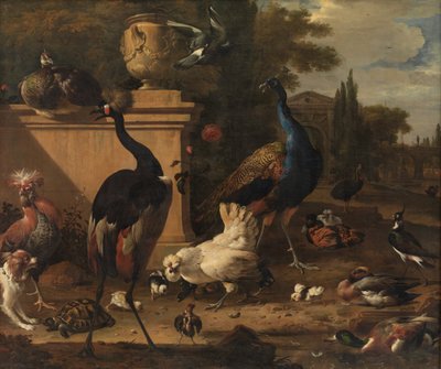 Hen Run at a Manor od Melchior d