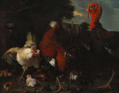 Slepice, kohout a krůta na statku od Melchior de Hondecoeter
