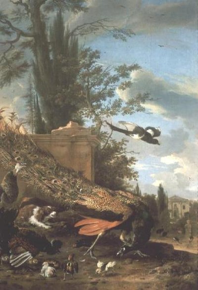 Páv a španěl v zahradě vily od Melchior de Hondecoeter
