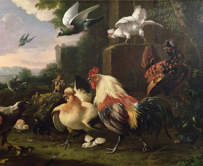 Kohout a další drůbež v krajině od Melchior de Hondecoeter