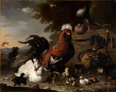  od Melchior de Hondecoeter