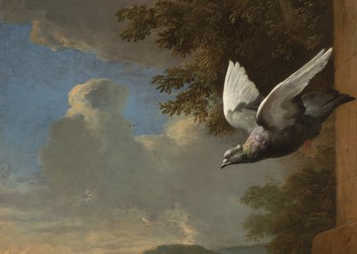 Detail z Menagerie, cca 1680 (olej na plátně) od Melchior de Hondecoeter