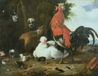 Selské ptactvo s holuby od Melchior de Hondecoeter
