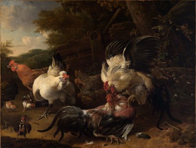  od Melchior de Hondecoeter