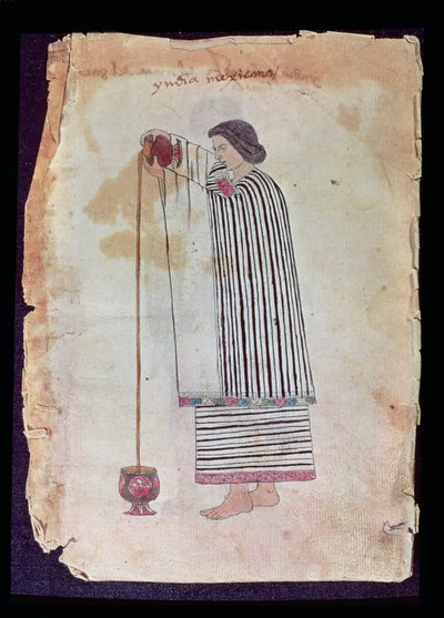 Mexický indián připravující čokoládu, z kodexu Tuleda, 1553 od Mexican School