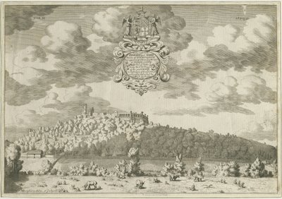 Dudley Castle: mědirytina, nd [1653-1686] (tisk) od Michael Burghers