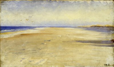 M.P. Ancher, Na pláži poblíž Skagenu od Michael Peter Ancher