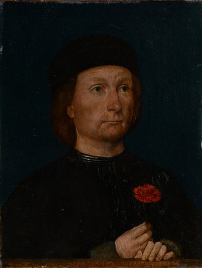 Portrét muže s růžovou barvou od Michael Sittow