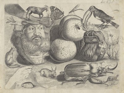 Studijní list s ukázkami kresby: portréty, zvířata, hmyz Příklady kreslení (název série) od Michael Snijders