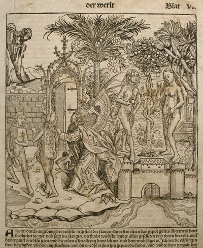 Adam a Eva, ilustrace z „Liber Chronicarum“ od Hartmanna Schedela (1440-1514) vydaného v Norimberku, 1493 od Michael and Pleydenwurff, W. Wolgemuth