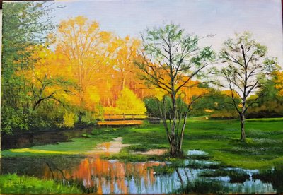 Zaplavené pole v Gironde (olej na plátně) od Michel Bultet