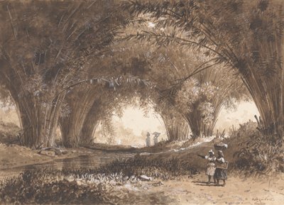 Bamboo Arches, St. Anns od Michel Jean Cazabon