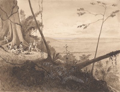 Cedar Point, Mount Tamana od Michel Jean Cazabon