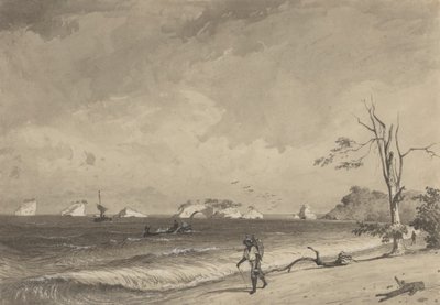 Los Gallos, Icacos Bay od Michel Jean Cazabon