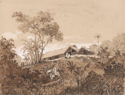Chata, Mount Tamana od Michel Jean Cazabon