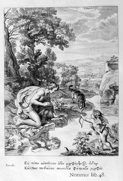 Narcis zamilovaný do vlastního odrazu, 1655 od Michel de Marolles
