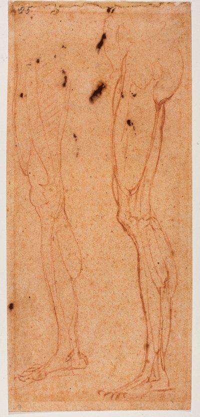 Studie nohou od Michelangelo (after) Buonarroti