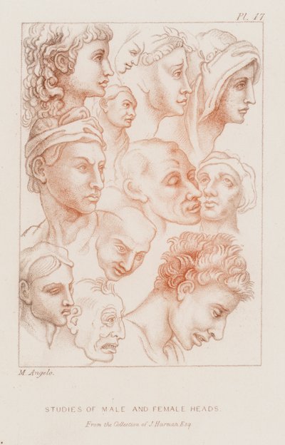 Studie mužských a ženských hlav (lept) od Michelangelo (after) Buonarroti
