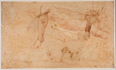 Studie aktů od Michelangelo (after) Buonarroti