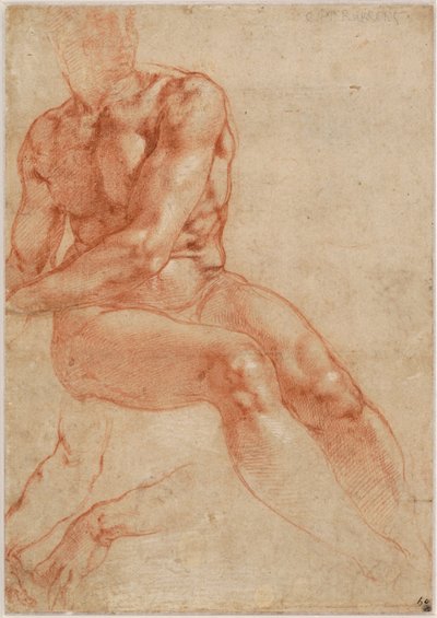 Sedící mladý mužský akt a dvě studie rukou (recto), asi 1510-11 od Michelangelo