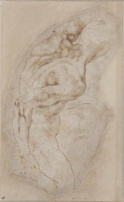 Klečící mladík viděný zezadu od Michelangelo Buonarroti