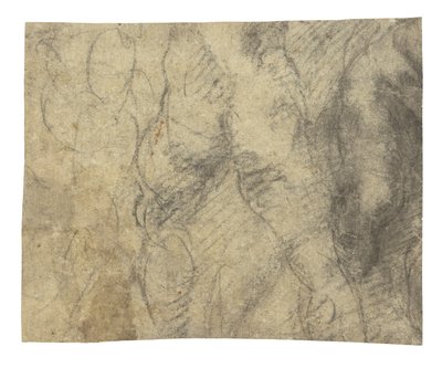 Mužský akt při pohledu zezadu od Michelangelo Buonarroti