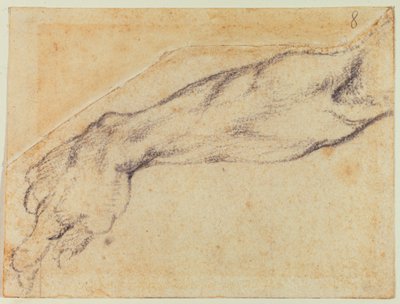 Studie ruky pro Sixtinskou postavu od Michelangelo Buonarroti