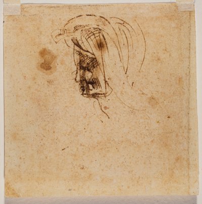 Hlava ženy od Michelangelo Buonarroti