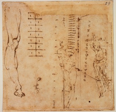 Obrázkové studie od Michelangelo Buonarroti