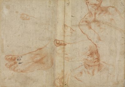 Figurální studie pro Sixtinský strop od Michelangelo Buonarroti