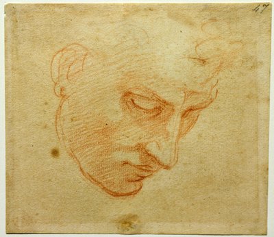 Studie hlavy ke stropu Sixtinské kaple, asi 1509-1510 od Michelangelo Buonarroti