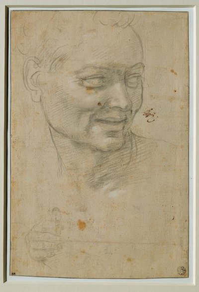 Hlava a pravá ruka Ignuda nahoře a nalevo od Izaiáše od Michelangelo Buonarroti