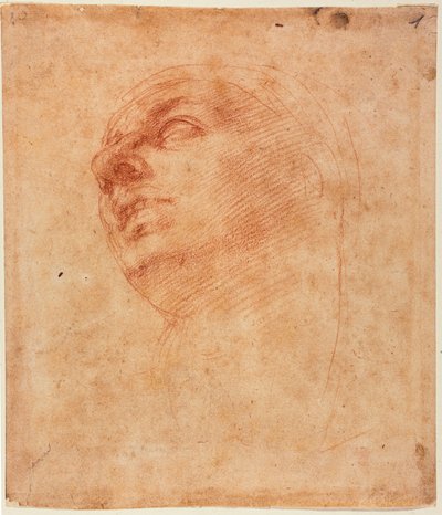 Studie hlavy pro Sixtinského Jonáše od Michelangelo Buonarroti