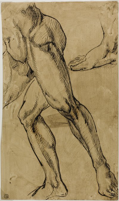 Nohy a chodidla mužského aktu od Michelangelo Buonarroti