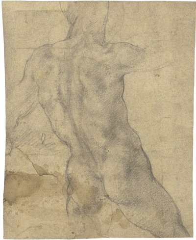 Mužský akt od Michelangelo Buonarroti