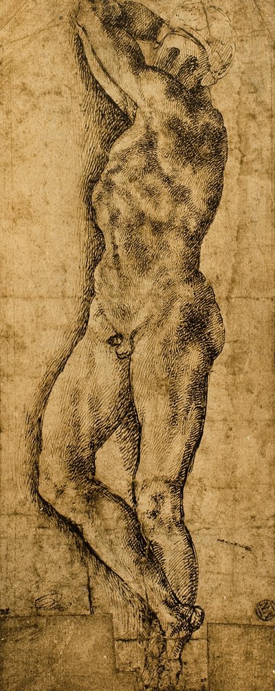 Mužský akt; kresba Michelangelo. Louvre, Paříž od Michelangelo Buonarroti