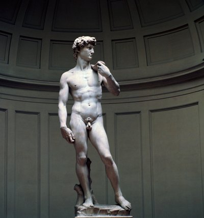 Michelangelův David, 16. století od Michelangelo Buonarroti