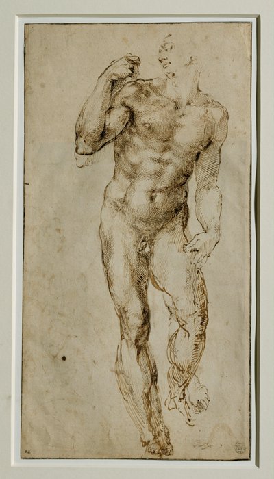 Mužský akt, pohled zepředu, asi 1502-1506 ... od Michelangelo Buonarroti