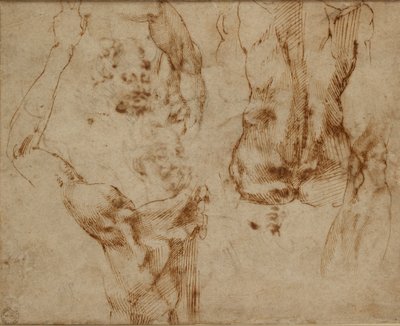 Nahé studie, c1490-1560 od Michelangelo Buonarroti