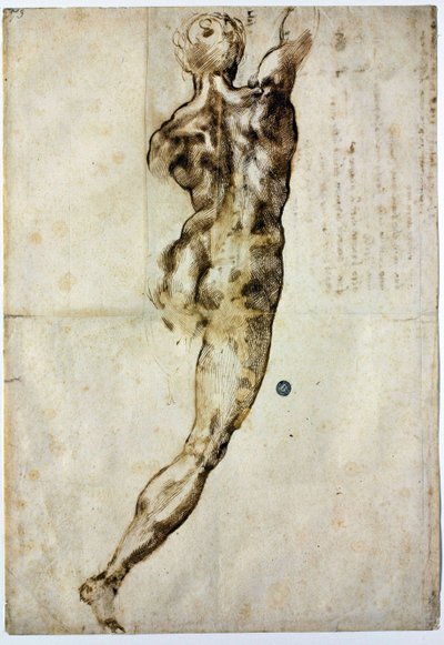 Nahá zezadu, c. 1504 od Michelangelo Buonarroti